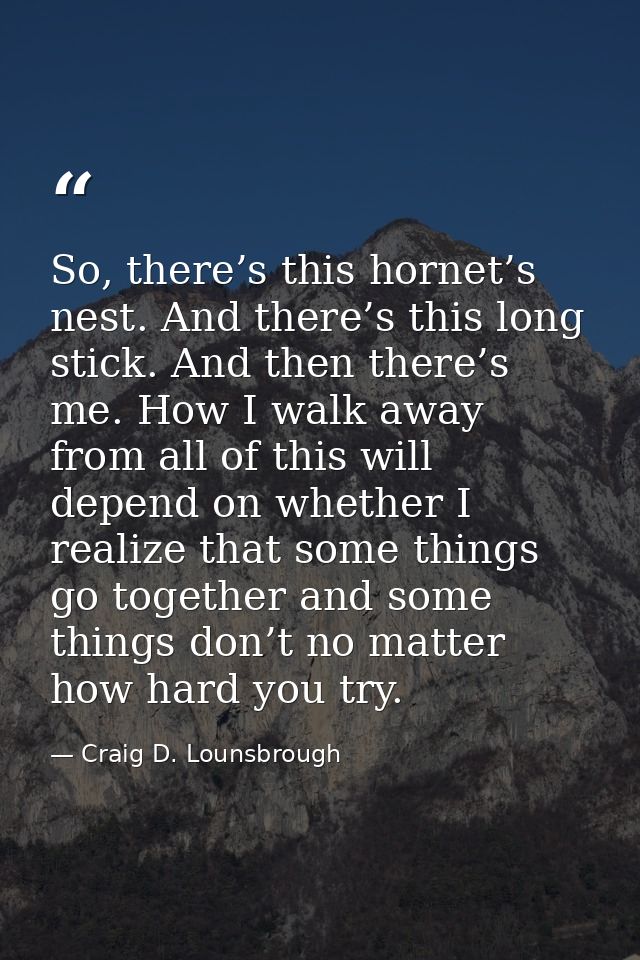 So, there’s this hornet’s nest. And there’s this long stick. And then there’s me. How I walk away from all of this will  — Craig D. Lounsbrough
