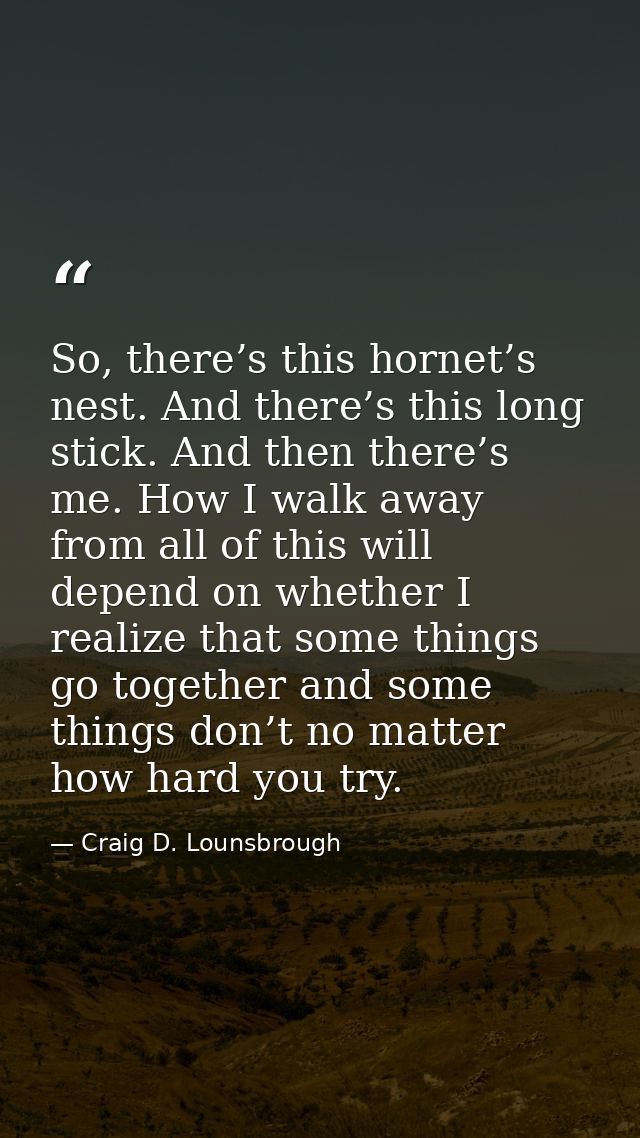 So, there’s this hornet’s nest. And there’s this long stick. And then there’s me. How I walk away from all of this will  — Craig D. Lounsbrough