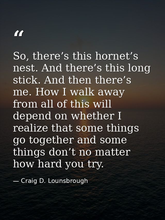 So, there’s this hornet’s nest. And there’s this long stick. And then there’s me. How I walk away from all of this will  — Craig D. Lounsbrough