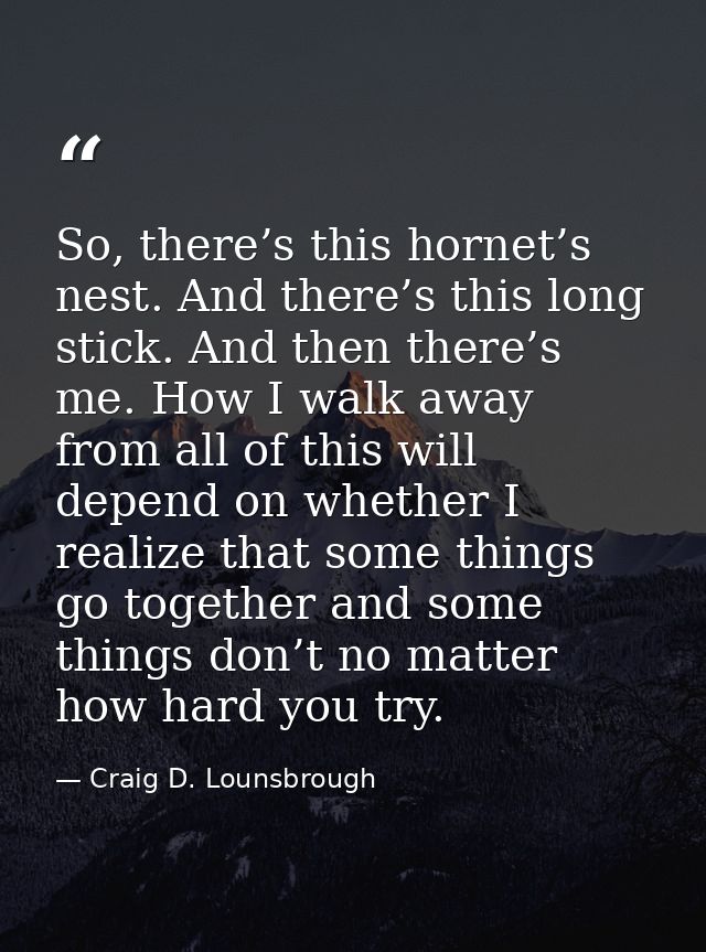 So, there’s this hornet’s nest. And there’s this long stick. And then there’s me. How I walk away from all of this will  — Craig D. Lounsbrough