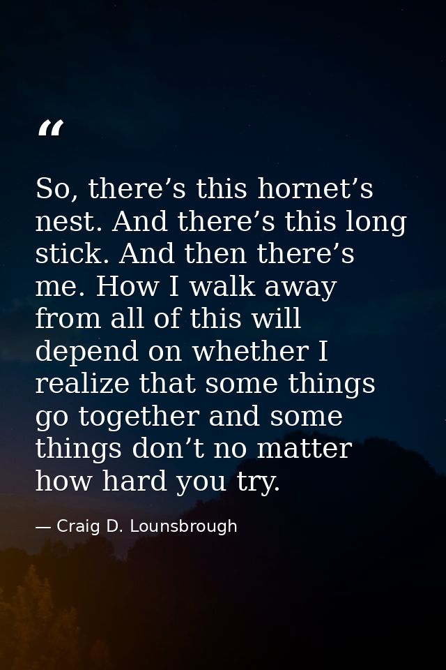 So, there’s this hornet’s nest. And there’s this long stick. And then there’s me. How I walk away from all of this will  — Craig D. Lounsbrough