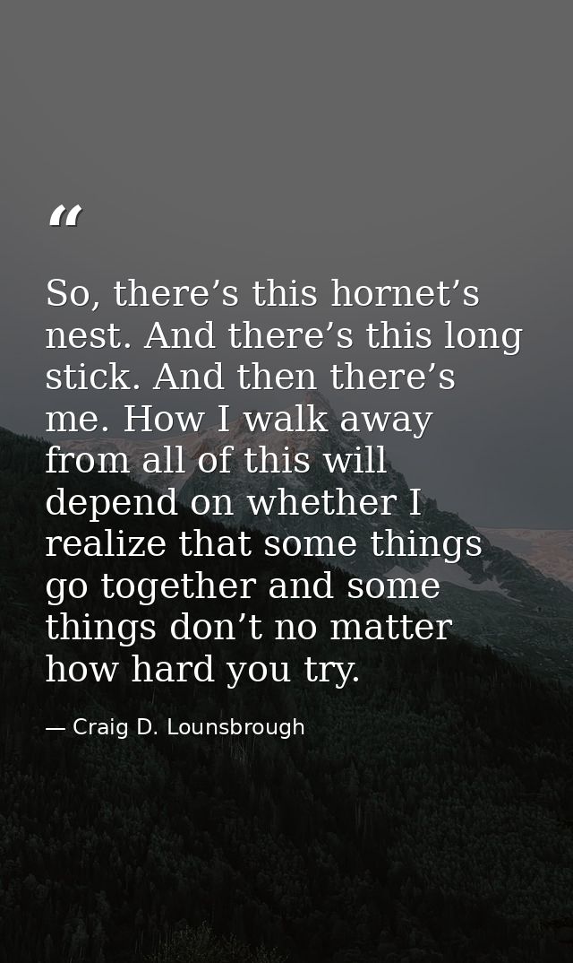 So, there’s this hornet’s nest. And there’s this long stick. And then there’s me. How I walk away from all of this will  — Craig D. Lounsbrough