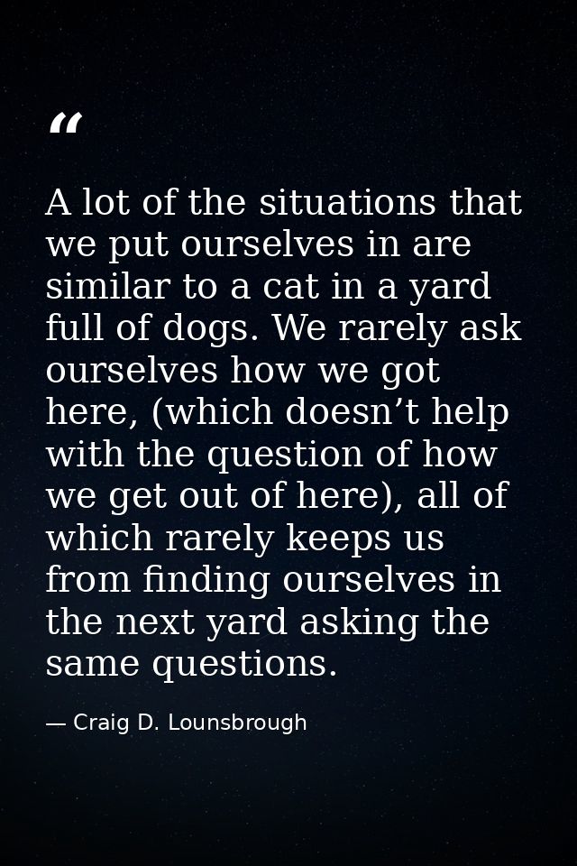 A lot of the situations that we put ourselves in are similar to a cat in a yard full of dogs. We rarely ask ourselves ho — Craig D. Lounsbrough