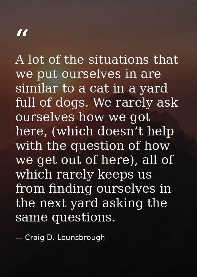 A lot of the situations that we put ourselves in are similar to a cat in a yard full of dogs. We rarely ask ourselves ho — Craig D. Lounsbrough