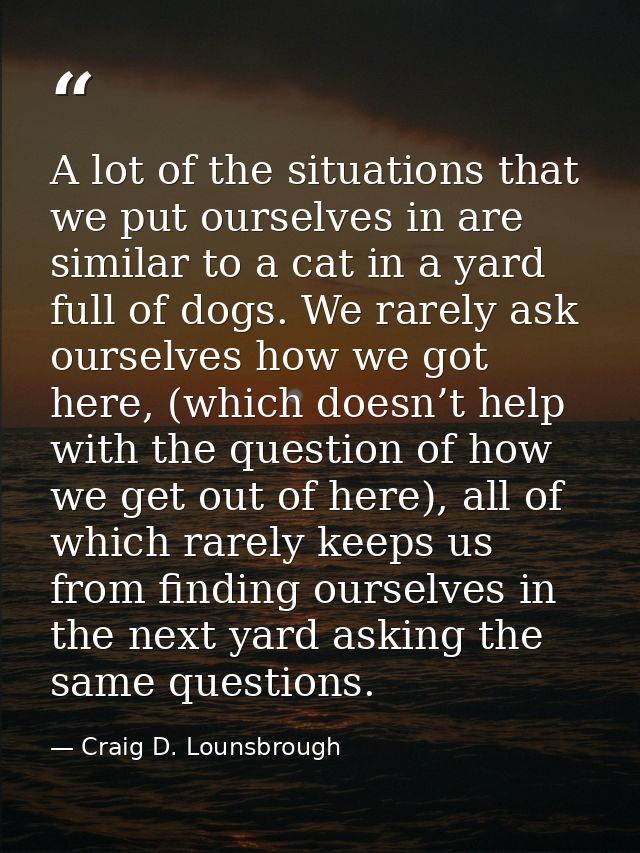 A lot of the situations that we put ourselves in are similar to a cat in a yard full of dogs. We rarely ask ourselves ho — Craig D. Lounsbrough