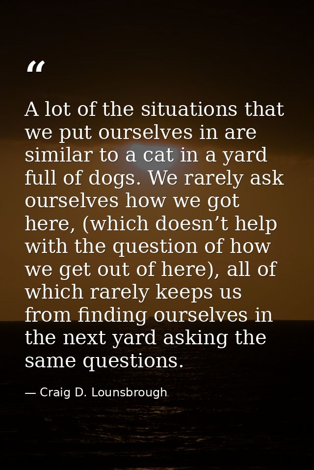 A lot of the situations that we put ourselves in are similar to a cat in a yard full of dogs. We rarely ask ourselves ho — Craig D. Lounsbrough