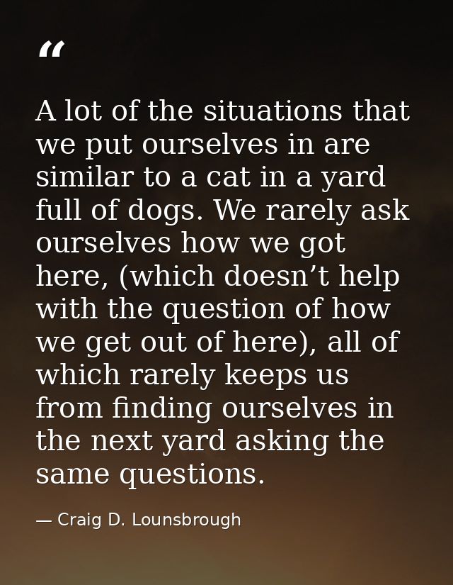 A lot of the situations that we put ourselves in are similar to a cat in a yard full of dogs. We rarely ask ourselves ho — Craig D. Lounsbrough