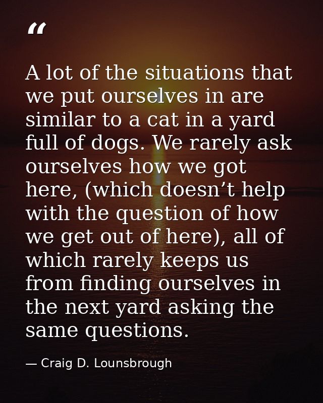 A lot of the situations that we put ourselves in are similar to a cat in a yard full of dogs. We rarely ask ourselves ho — Craig D. Lounsbrough