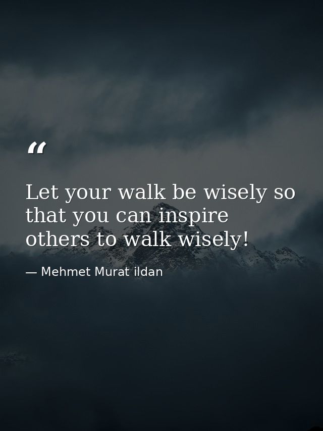Let your walk be wisely so that you can inspire others to walk wisely! — Mehmet Murat ildan