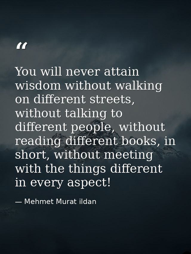You will never attain wisdom without walking on different streets, without talking to different people, without reading  — Mehmet Murat ildan