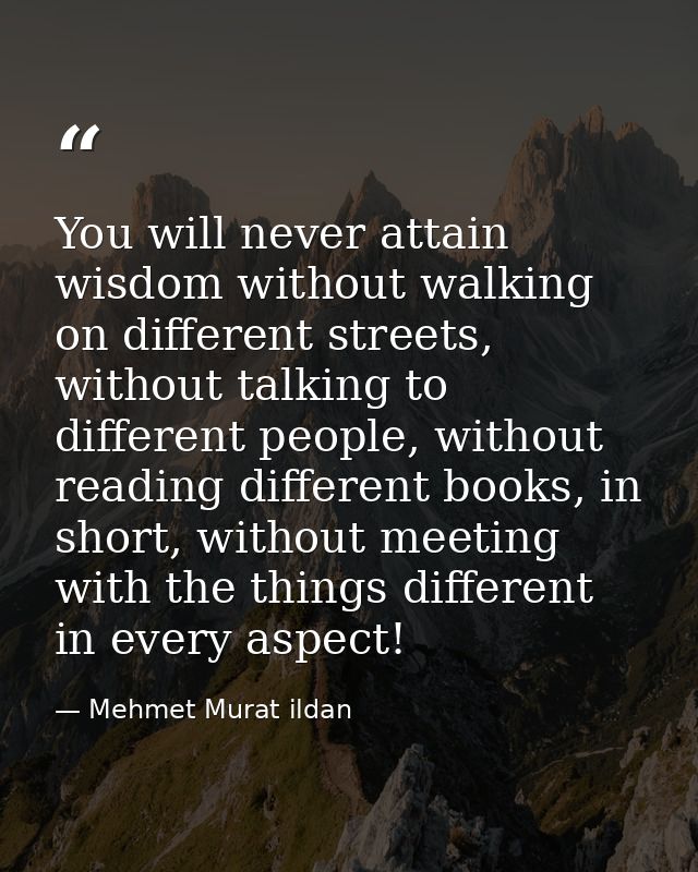 You will never attain wisdom without walking on different streets, without talking to different people, without reading  — Mehmet Murat ildan