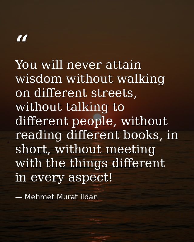 You will never attain wisdom without walking on different streets, without talking to different people, without reading  — Mehmet Murat ildan