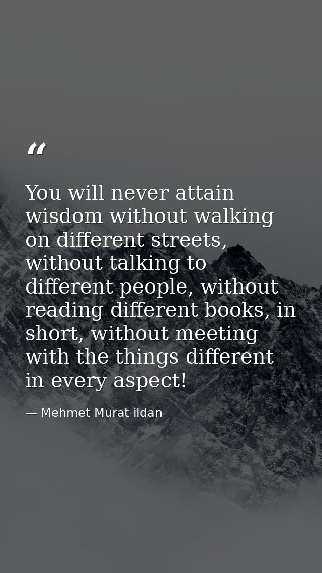 You will never attain wisdom without walking on different streets, without talking to different people, without reading  — Mehmet Murat ildan