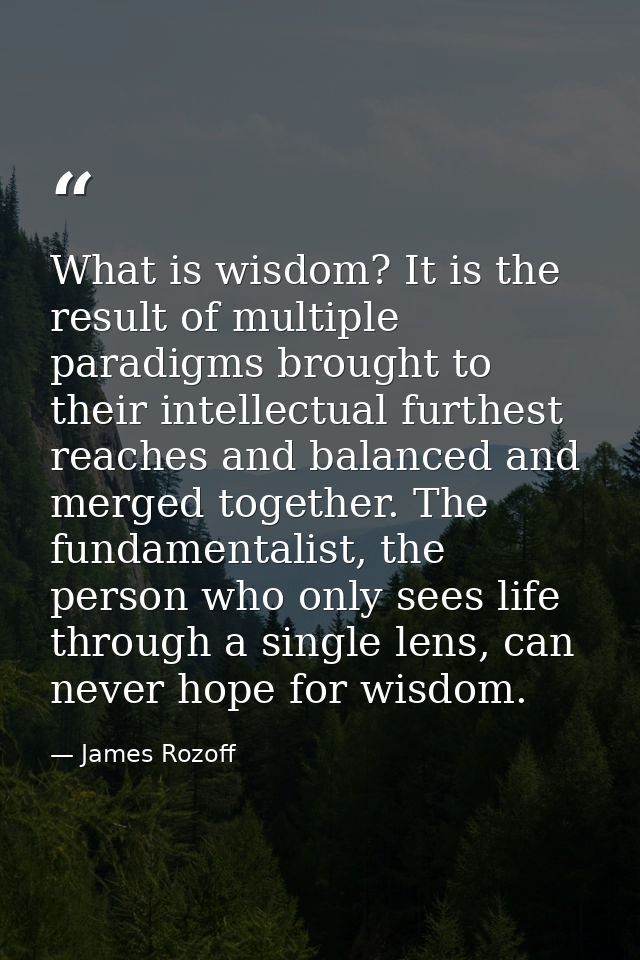 What is wisdom? It is the result of multiple paradigms brought to their intellectual furthest reaches and balanced and m — James Rozoff