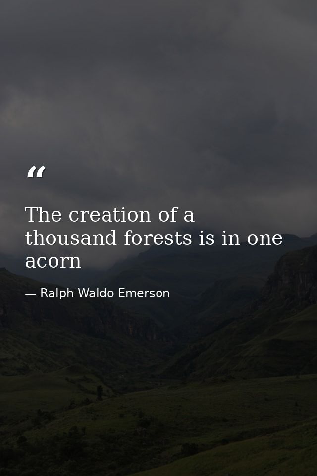 The creation of a thousand forests is in one acorn — Ralph Waldo Emerson