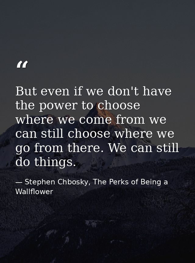 But even if we don't have the power to choose where we come from we can still choose where we go from there. We can stil — Stephen Chbosky, The Perks of Being a Wallflower