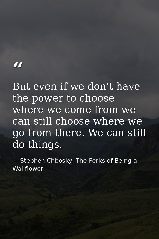 But even if we don't have the power to choose where we come from we can still choose where we go from there. We can stil — Stephen Chbosky, The Perks of Being a Wallflower