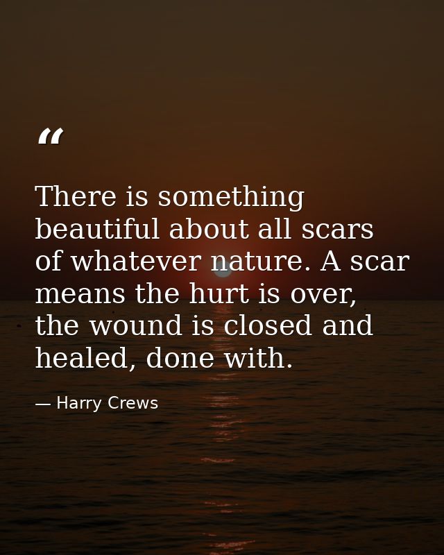 There is something beautiful about all scars of whatever nature. A scar means the hurt is over, the wound is closed and  — Harry Crews