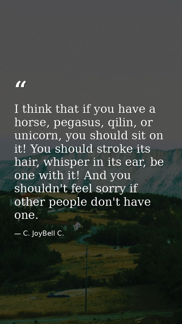 I think that if you have a horse, pegasus, qilin, or unicorn, you should sit on it! You should stroke its hair, whisper  — C. JoyBell C.
