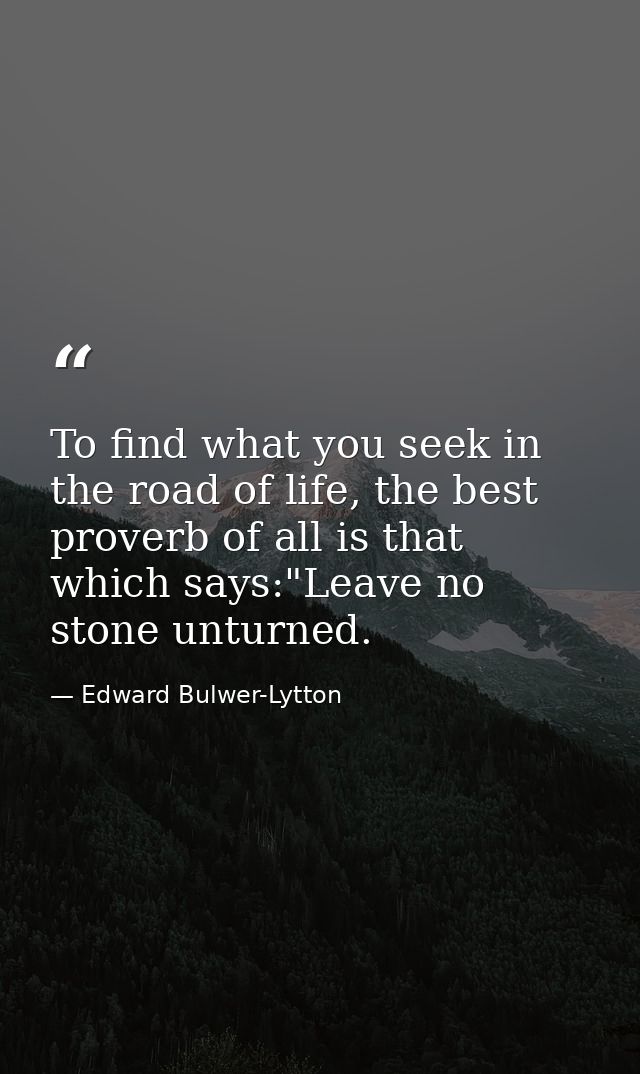 To find what you seek in the road of life, the best proverb of all is that which says:"Leave no stone unturned. — Edward Bulwer-Lytton