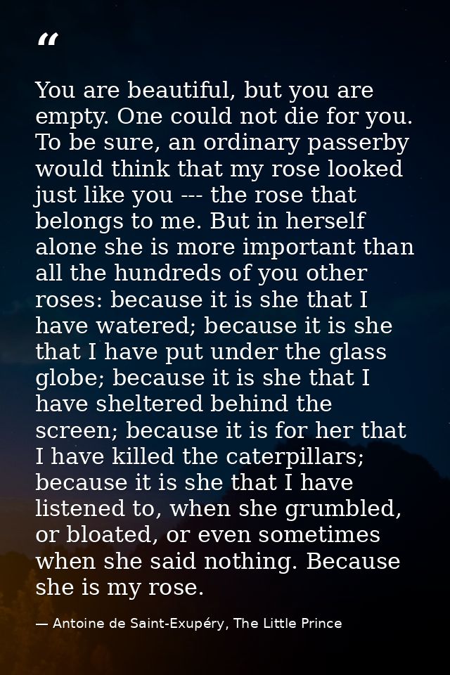 You are beautiful, but you are empty. One could not die for you. To be sure, an ordinary passerby would think that my ro — Antoine de Saint-Exupéry, The Little Prince