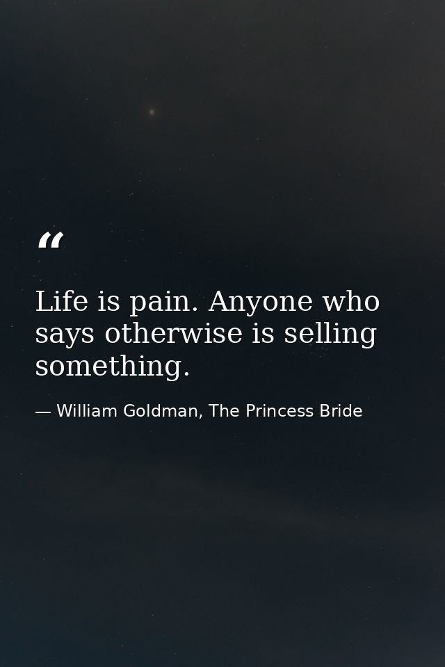 Life is pain. Anyone who says otherwise is selling something. — William Goldman, The Princess Bride