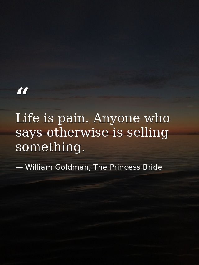 Life is pain. Anyone who says otherwise is selling something. — William Goldman, The Princess Bride