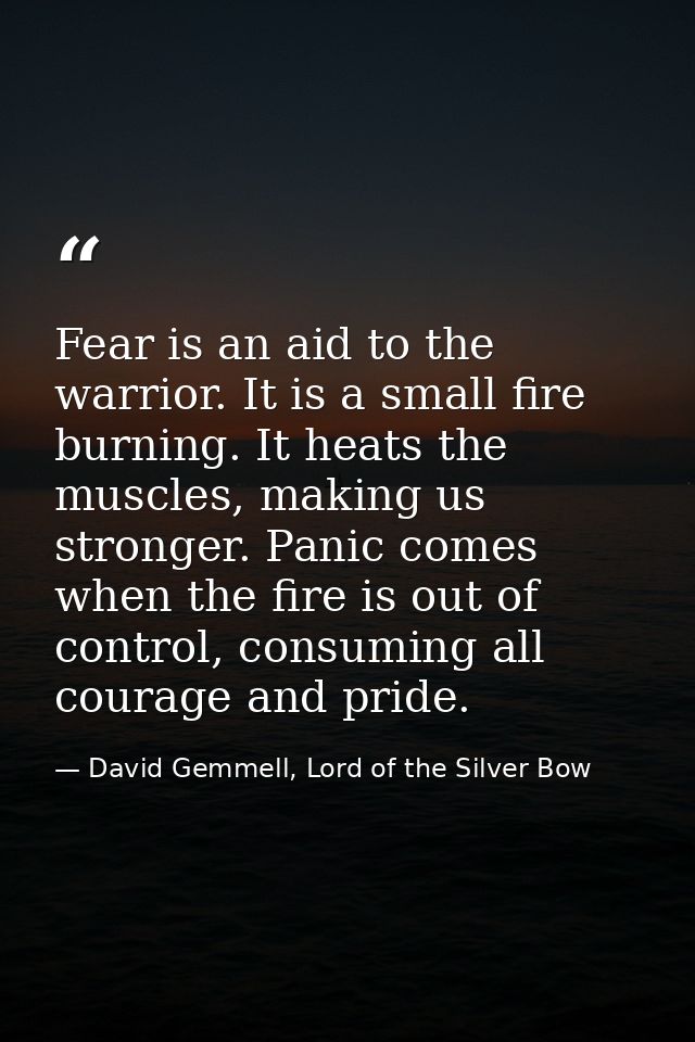 Fear is an aid to the warrior. It is a small fire burning. It heats the muscles, making us stronger. Panic comes when th — David Gemmell, Lord of the Silver Bow
