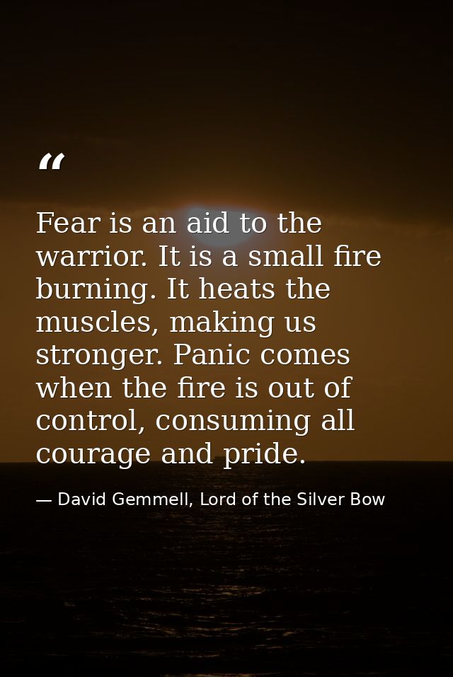 Fear is an aid to the warrior. It is a small fire burning. It heats the muscles, making us stronger. Panic comes when th — David Gemmell, Lord of the Silver Bow
