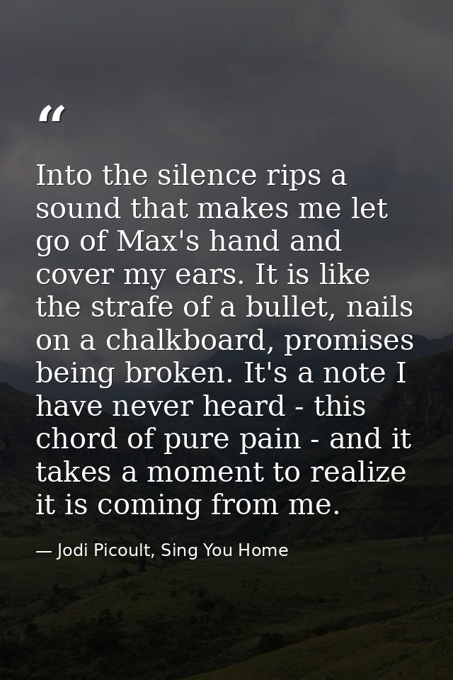 Into the silence rips a sound that makes me let go of Max's hand and cover my ears. It is like the strafe of a bullet, n — Jodi Picoult, Sing You Home