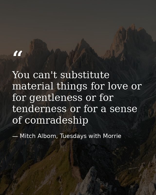 You can't substitute material things for love or for gentleness or for tenderness or for a sense of comradeship — Mitch Albom, Tuesdays with Morrie