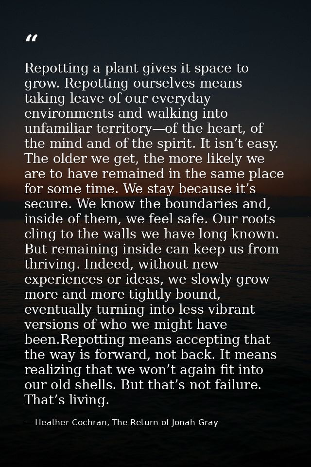 Repotting a plant gives it space to grow. Repotting ourselves means taking leave of our everyday environments and walkin — Heather Cochran, The Return of Jonah Gray