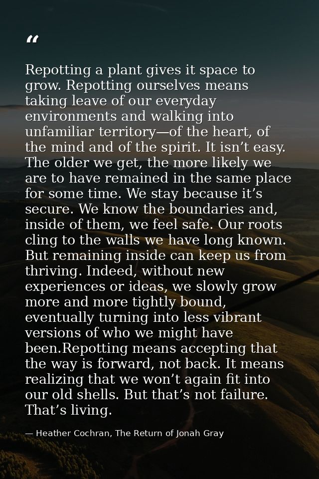 Repotting a plant gives it space to grow. Repotting ourselves means taking leave of our everyday environments and walkin — Heather Cochran, The Return of Jonah Gray