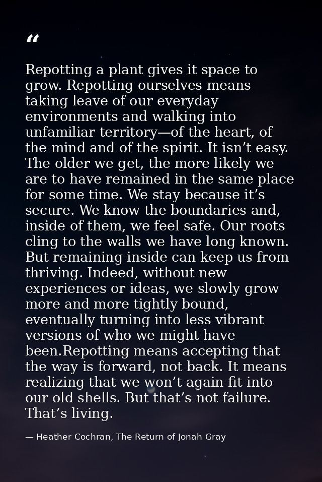 Repotting a plant gives it space to grow. Repotting ourselves means taking leave of our everyday environments and walkin — Heather Cochran, The Return of Jonah Gray