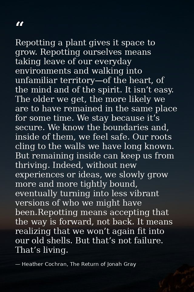 Repotting a plant gives it space to grow. Repotting ourselves means taking leave of our everyday environments and walkin — Heather Cochran, The Return of Jonah Gray