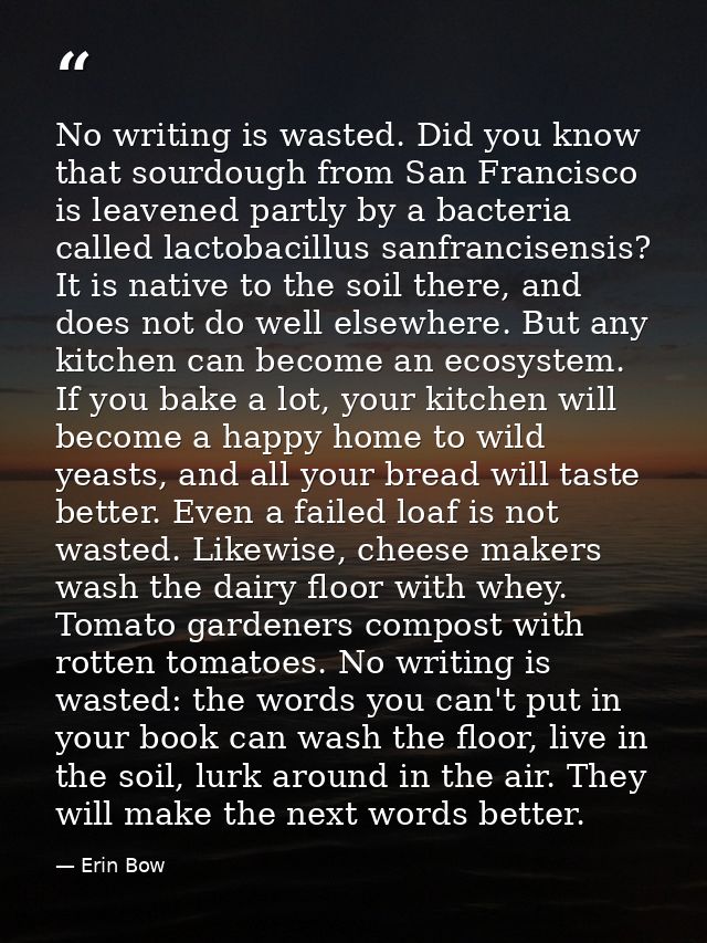 No writing is wasted. Did you know that sourdough from San Francisco is leavened partly by a bacteria called lactobacill — Erin Bow