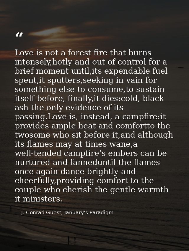 Love is not a forest fire that burns intensely,hotly and out of control for a brief moment until,its expendable fuel spe — J. Conrad Guest, January's Paradigm