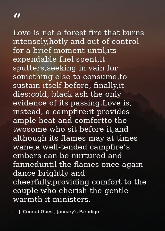 Love is not a forest fire that burns intensely,hotly and out of control for a brief moment until,its expendable fuel spe — J. Conrad Guest, January's Paradigm