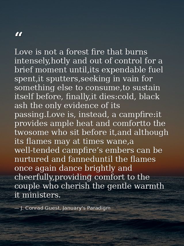 Love is not a forest fire that burns intensely,hotly and out of control for a brief moment until,its expendable fuel spe — J. Conrad Guest, January's Paradigm