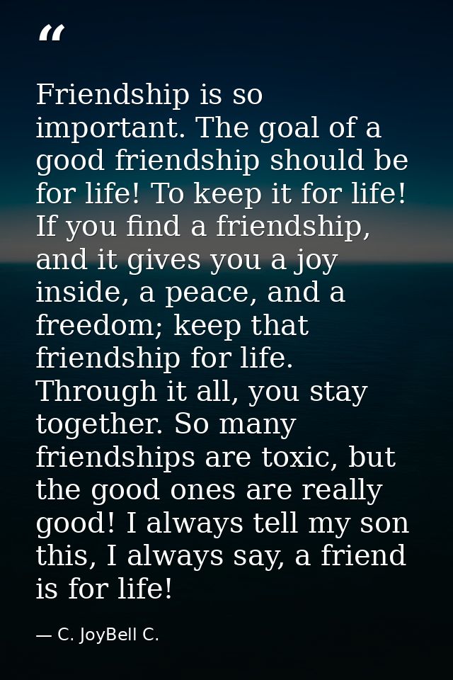 Friendship is so important. The goal of a good friendship should be for life! To keep it for life! If you find a friends — C. JoyBell C.