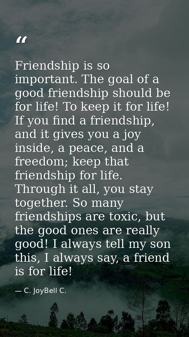 Friendship is so important. The goal of a good friendship should be for life! To keep it for life! If you find a friends — C. JoyBell C.