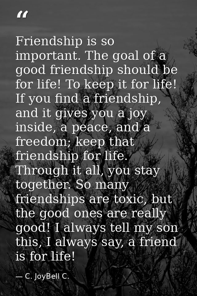 Friendship is so important. The goal of a good friendship should be for life! To keep it for life! If you find a friends — C. JoyBell C.