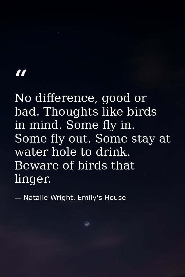 No difference, good or bad. Thoughts like birds in mind. Some fly in. Some fly out. Some stay at water hole to drink. Be — Natalie Wright, Emily's House