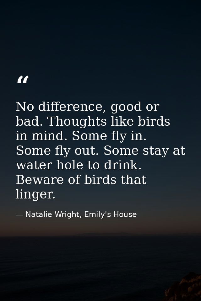 No difference, good or bad. Thoughts like birds in mind. Some fly in. Some fly out. Some stay at water hole to drink. Be — Natalie Wright, Emily's House