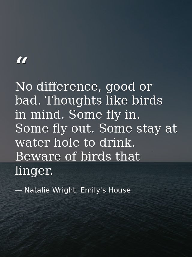 No difference, good or bad. Thoughts like birds in mind. Some fly in. Some fly out. Some stay at water hole to drink. Be — Natalie Wright, Emily's House