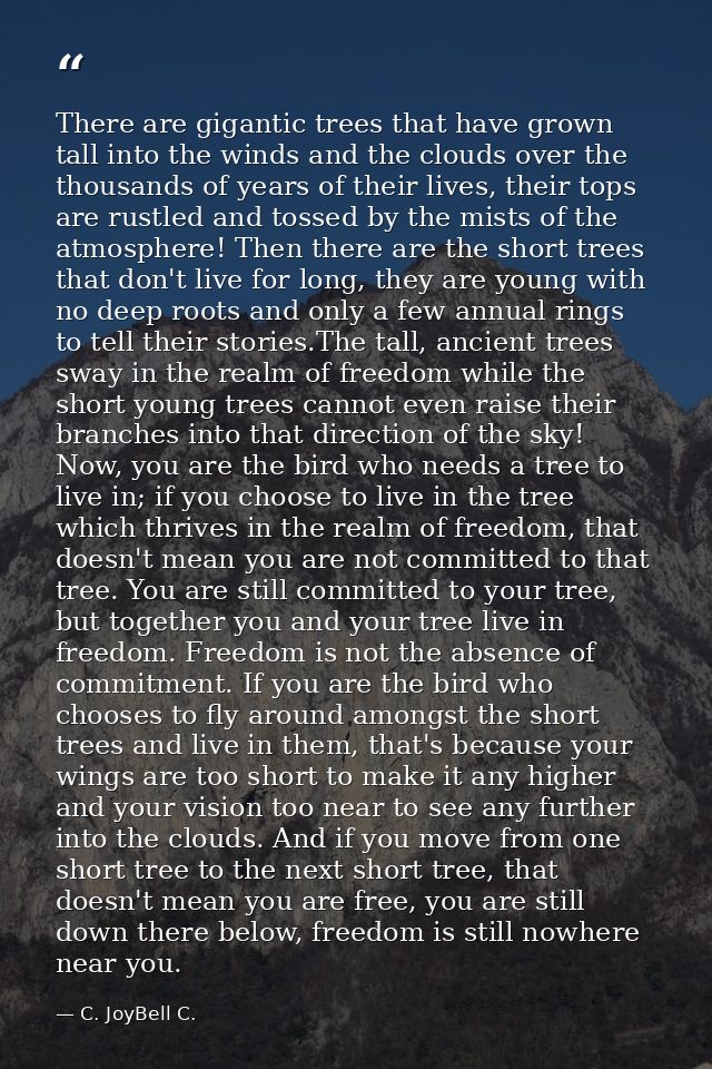 There are gigantic trees that have grown tall into the winds and the clouds over the thousands of years of their lives,  — C. JoyBell C.