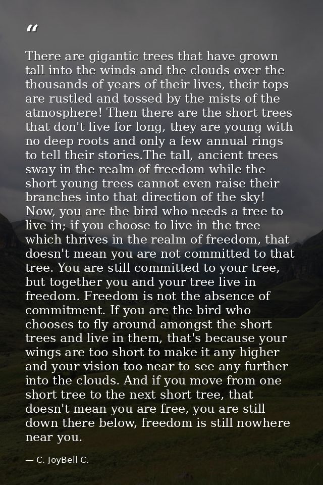 There are gigantic trees that have grown tall into the winds and the clouds over the thousands of years of their lives,  — C. JoyBell C.