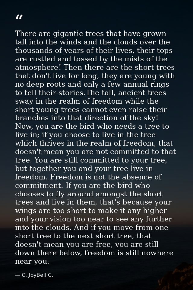 There are gigantic trees that have grown tall into the winds and the clouds over the thousands of years of their lives,  — C. JoyBell C.