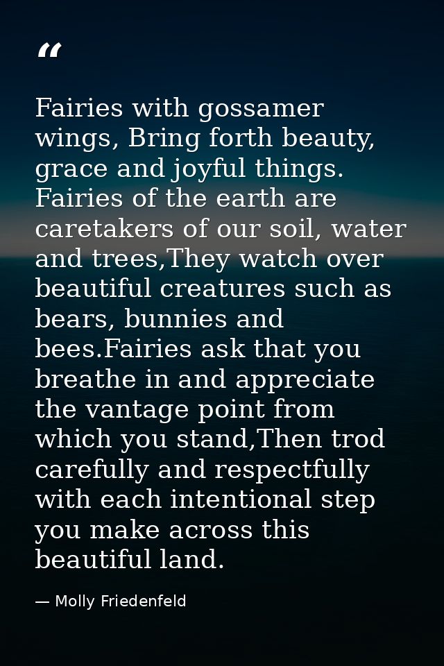 Fairies with gossamer wings, Bring forth beauty, grace and joyful things. Fairies of the earth are caretakers of our soi — Molly Friedenfeld