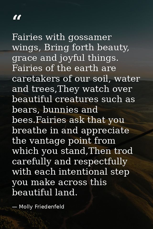 Fairies with gossamer wings, Bring forth beauty, grace and joyful things. Fairies of the earth are caretakers of our soi — Molly Friedenfeld